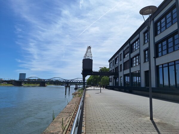 Zollhofhafen heute 2 (Blick auf Brücke / 20260703_125650)