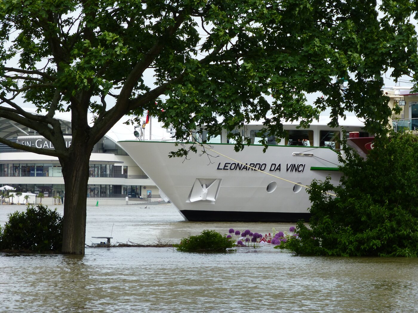 Hochwasser, Lieblingsbild Lanninger