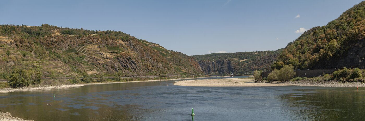 Niedrigwasser_Mittelrhein_2026_-_Oberwesel,_Blick_rheinabwärts (Wikimedia Commons)